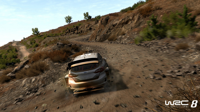 WRC 8 PS4 